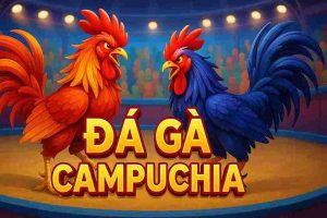 Đá Gà Campuchia HUBET2222 – Trải Nghiệm Cược Gà Cực Đỉnh